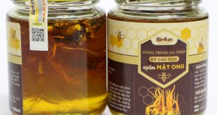 Sản phẩm chăm sóc sức Đông Trùng Hạ Thảo Biofun Việt Nam: nhà cung cấp đông trùng hạ thảo uy tín hiện nay