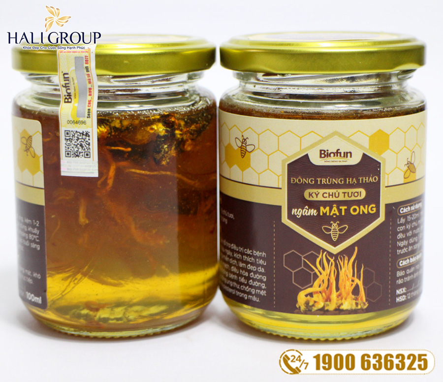 Sản phẩm chăm sóc sức Đông Trùng Hạ Thảo Biofun Việt Nam: nhà cung cấp đông trùng hạ thảo uy tín hiện nay