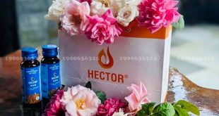 Sản phẩm bảo vệ sức Đông Trùng Hạ Thảo Hector: nơi nuôi trồng đông trùng hạ thảo uy tín hiện nay