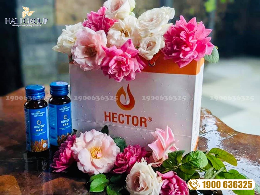 Sản phẩm bảo vệ sức Đông Trùng Hạ Thảo Hector: nơi nuôi trồng đông trùng hạ thảo uy tín hiện nay