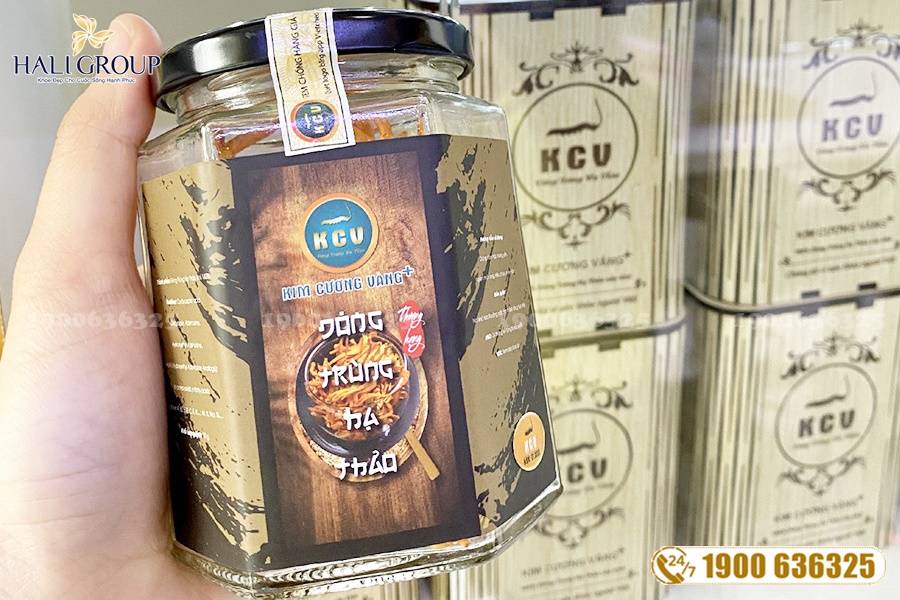 Phân phối đông trùng hạ thảo khô Kim Cương Vàng sinh khối hộp 10g của Tiến Luật