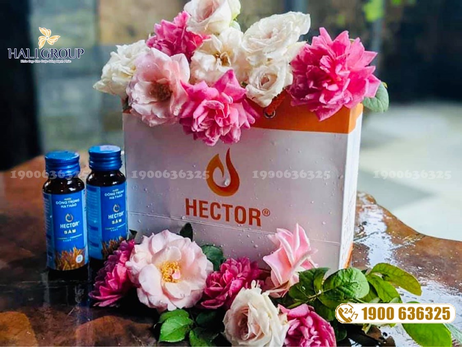 Hector Sâm - thực phẩm tuyệt vời cho sức khỏe của bạn