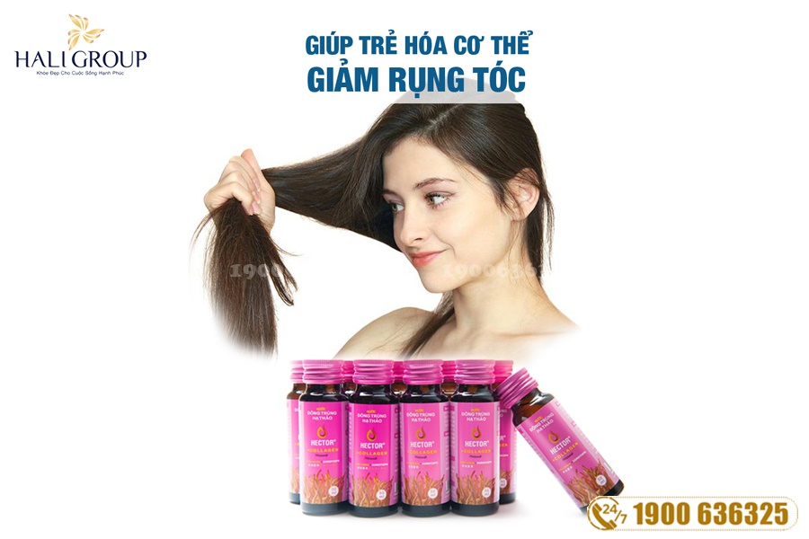 Mua Nước Đông Trùng Hạ Thảo Hector Collagen trên cả nước