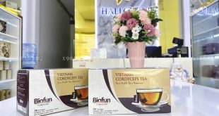 Trà Đông Trùng Hạ Thảo Việt Nam Biofun - sản phẩm tuyệt vời cho những người yêu thích uống trà