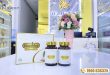 Đánh giá về Viên Bổ Phế Banikha của một số chị em sau khi dùng