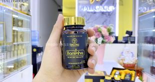Viên uống đông trùng hạ thảo Banikha Thiên Phúc: dược phẩm cực kỳ tốt cho mọi người