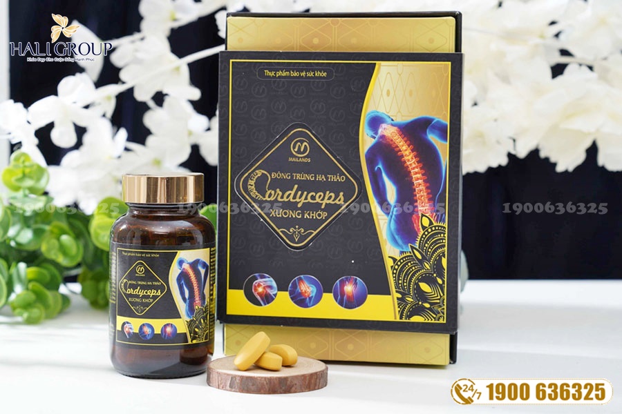 Đông Trùng Hạ Thảo Xương Khớp Mailands - thực phẩm tuyệt vời cho đối tượng cần cải thiện triệu chứng thoái hóa khớp