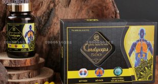 Viên Nang Đông Trùng Hạ Thảo Cordyceps 500 - sản phẩm "vàng" cho sức khỏe của bạn