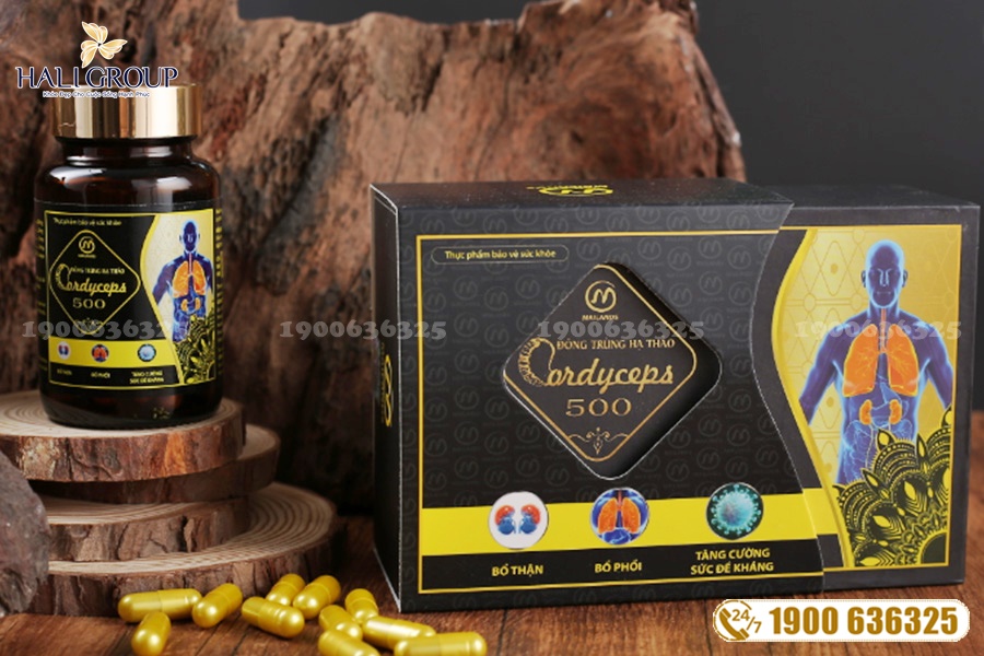 Viên Nang Đông Trùng Hạ Thảo Cordyceps 500 - sản phẩm "vàng" cho sức khỏe của bạn