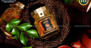Những câu nghi vấn thường gặp khi mua Yến Đông trùng KCV